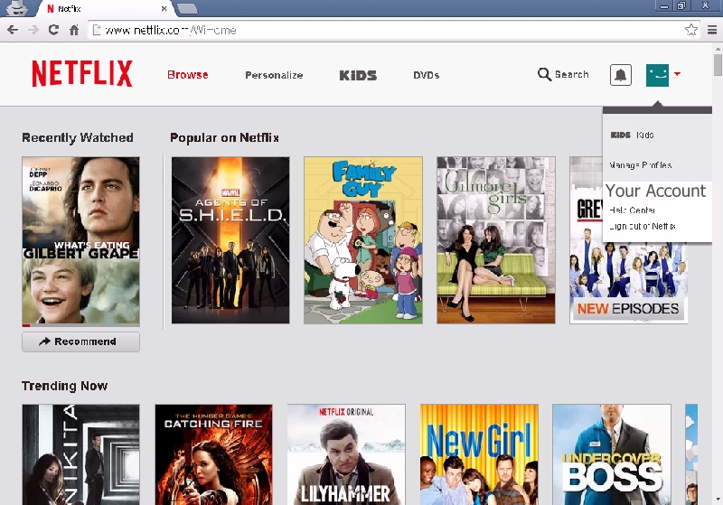 Netflix Account Screen