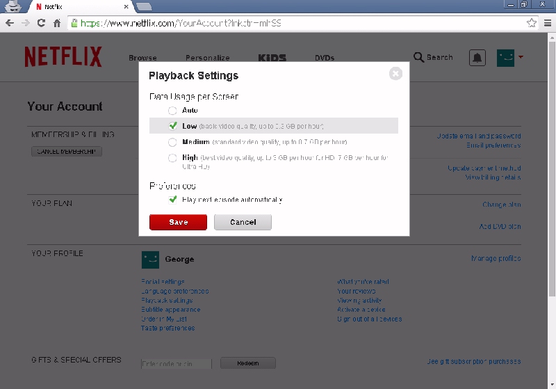 Netflix Playback Screen